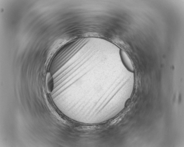 X0000088170049200706051127