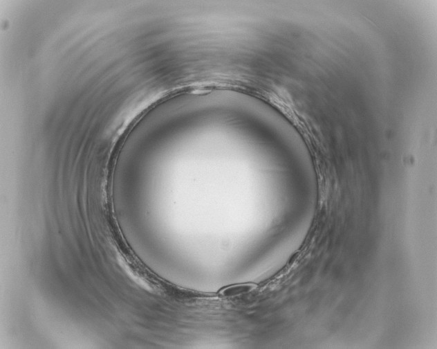 X0000088170050200706051127