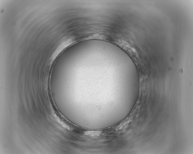 X0000088170051200706051127