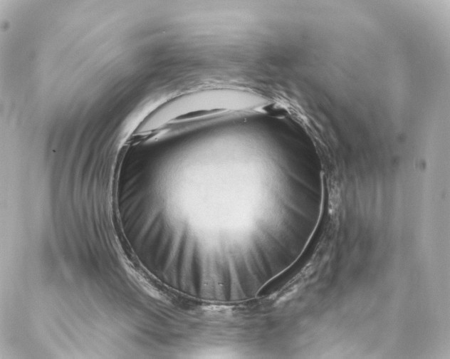 X0000088170052200706051127