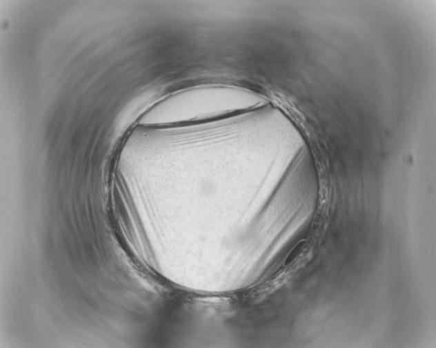 X0000088170053200706051127