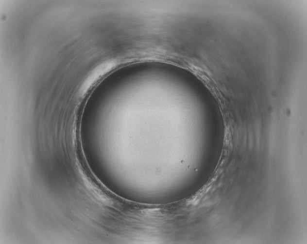 X0000088170054200706051127