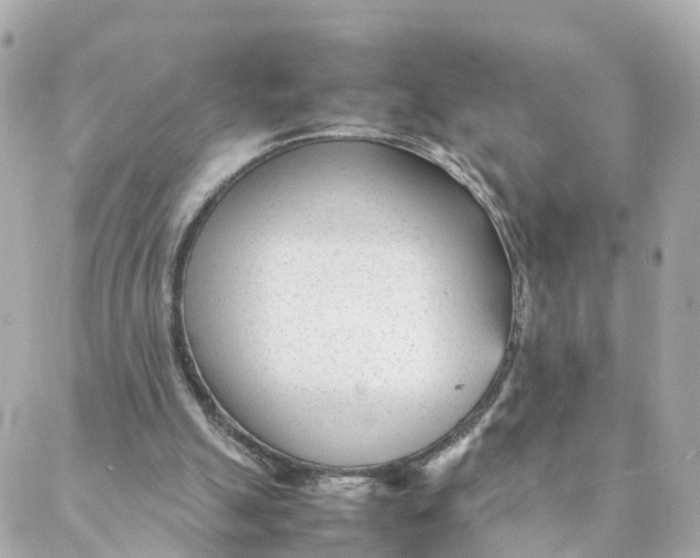 X0000088170055200706051127