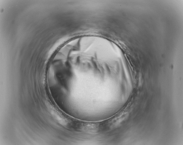 X0000088170056200706051127