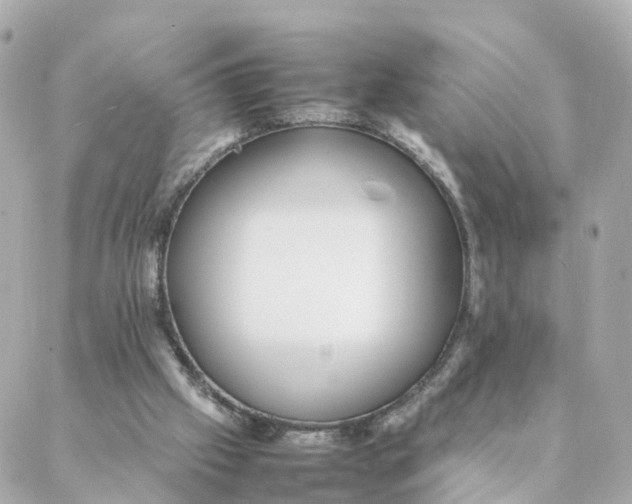 X0000088170057200706051127