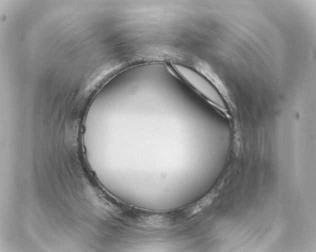 X0000088170058200706051127