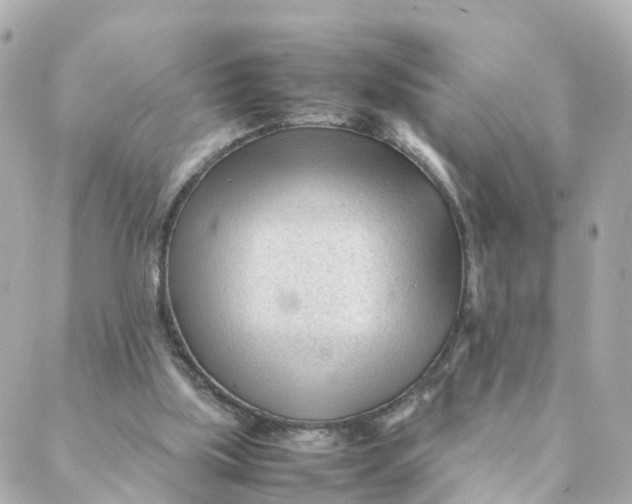 X0000088170059200706051127