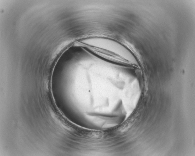 X0000088170060200706051127