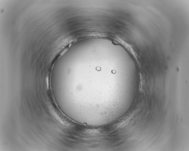 X0000088170061200706051127