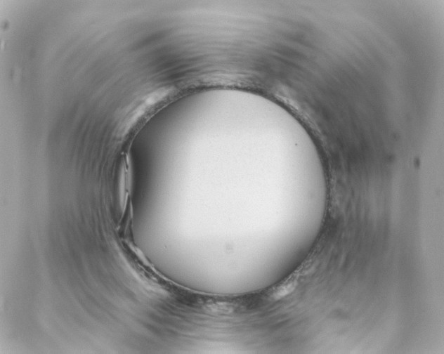 X0000088170062200706051127