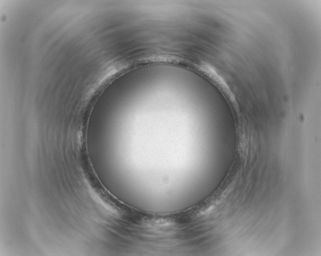 X0000088170063200706051127