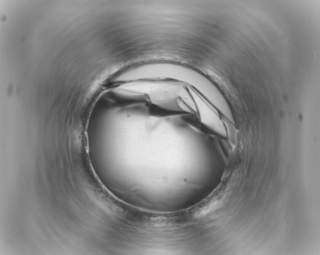 X0000088170064200706051127