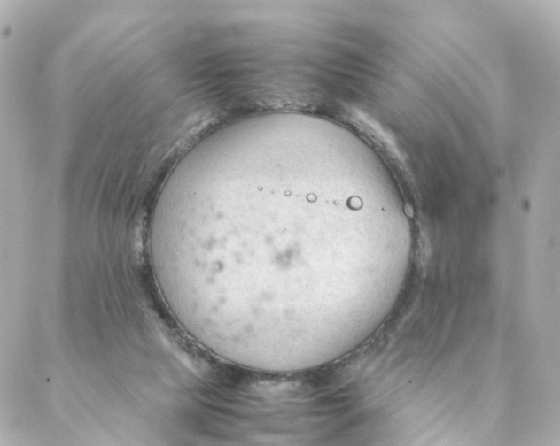 X0000088170065200706051127