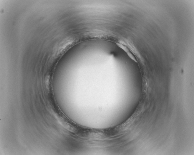 X0000088170066200706051127