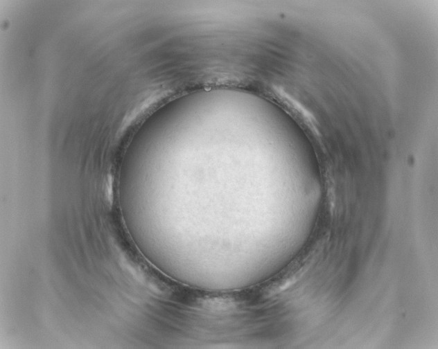 X0000088170067200706051127