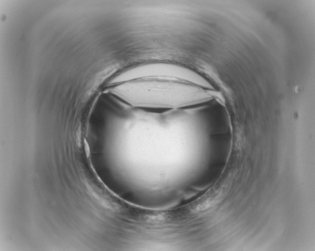 X0000088170068200706051127