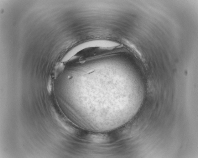 X0000088170069200706051127