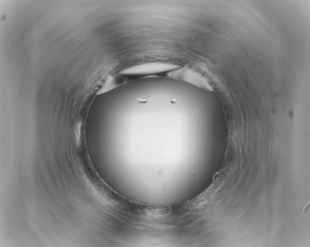 X0000088170070200706051127