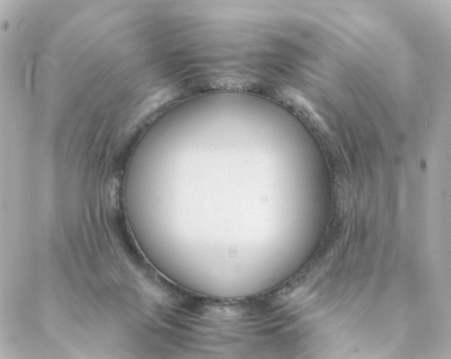 X0000088170071200706051127