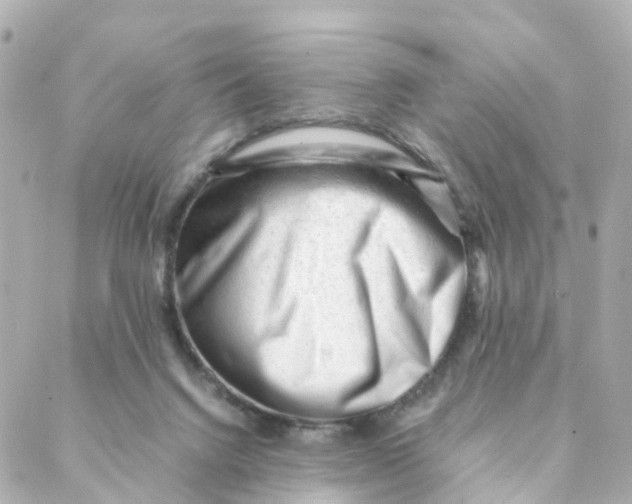 X0000088170072200706051127