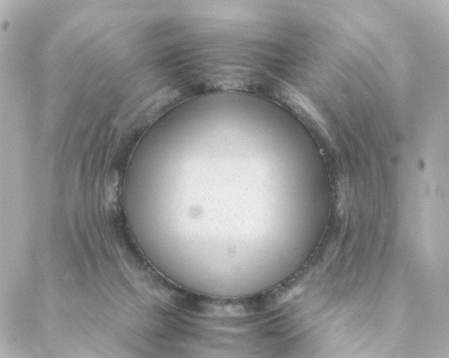 X0000088170073200706051127