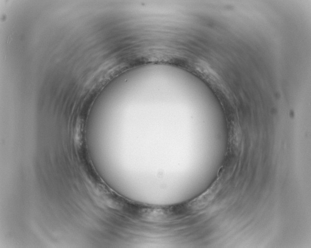 X0000088170074200706051127