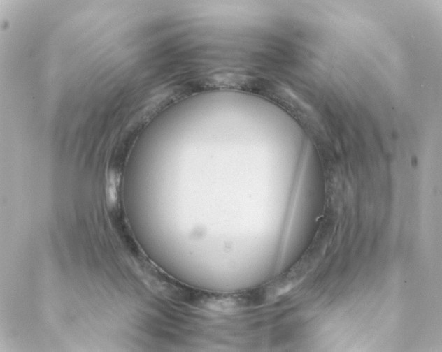 X0000088170075200706051127