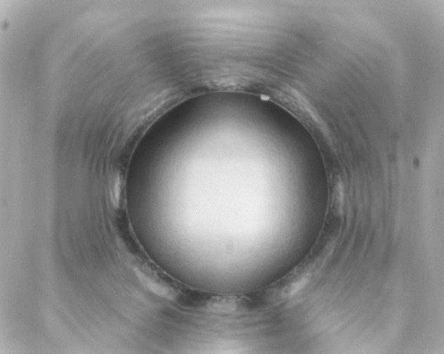 X0000088170076200706051127