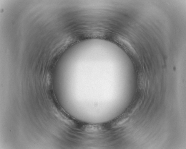 X0000088170077200706051127