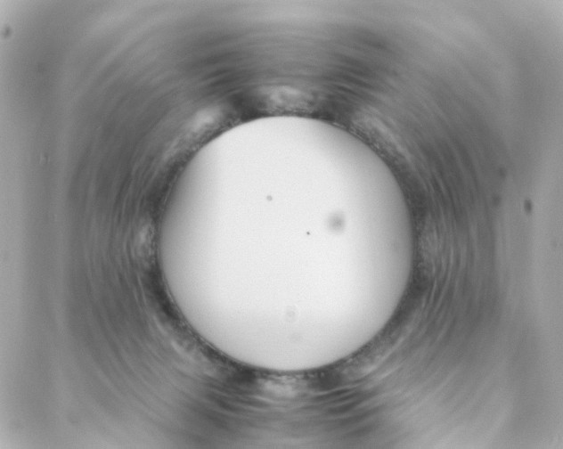 X0000088170079200706051127