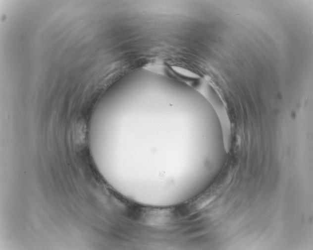 X0000088170081200706051127