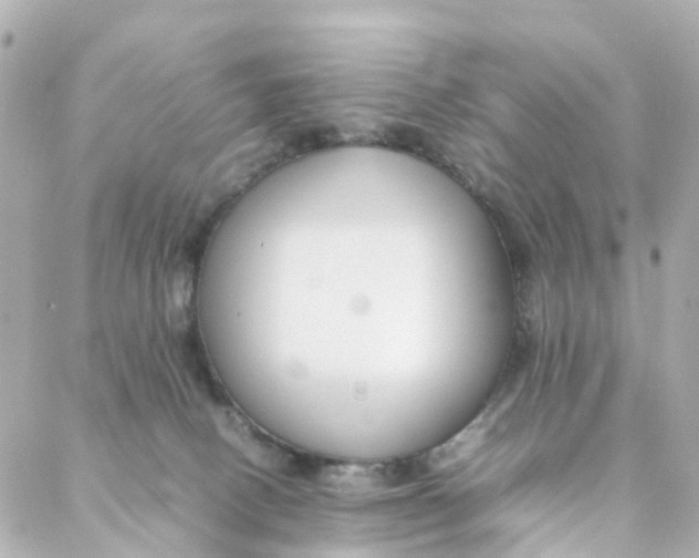 X0000088170082200706051127