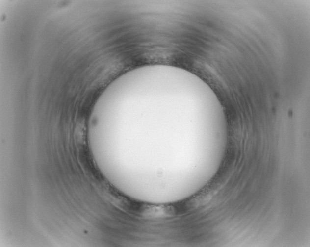 X0000088170083200706051127