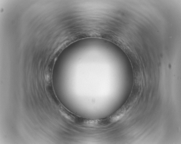 X0000088170084200706051127