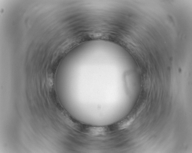 X0000088170085200706051127