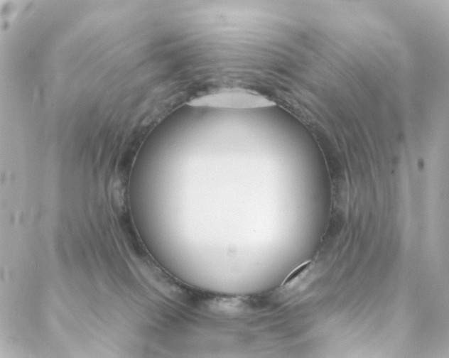 X0000088170086200706051127