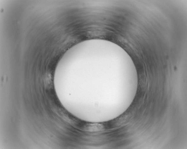 X0000088170087200706051127