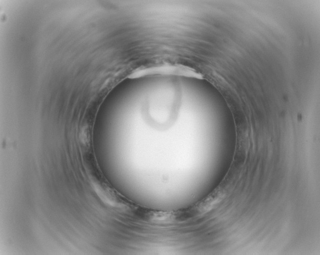 X0000088170088200706051127