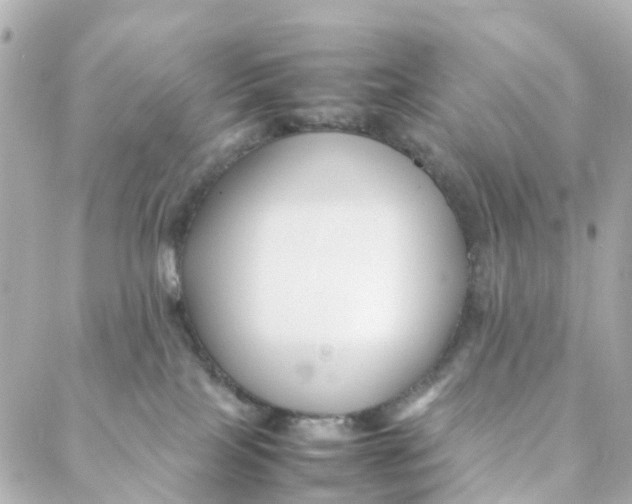 X0000088170089200706051127