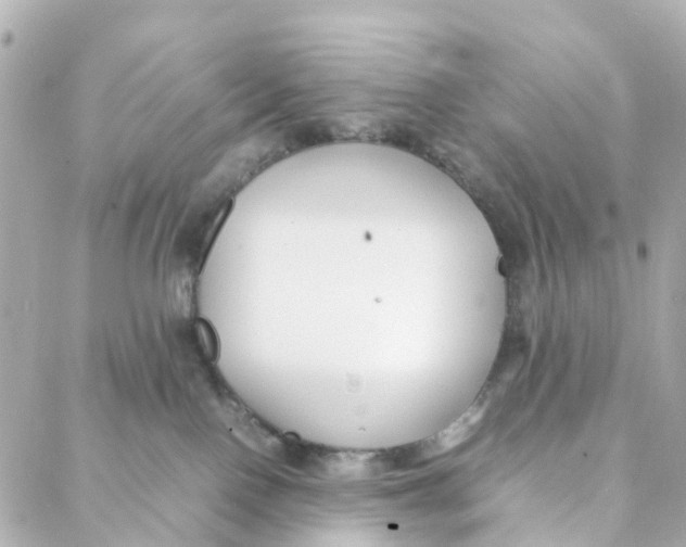 X0000088170090200706051127