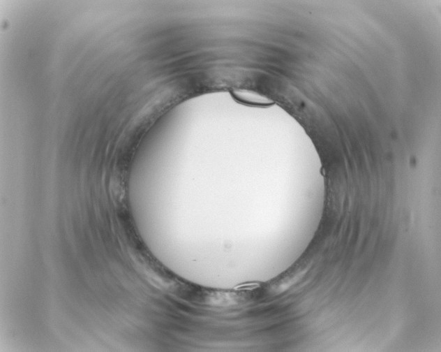 X0000088170091200706051127