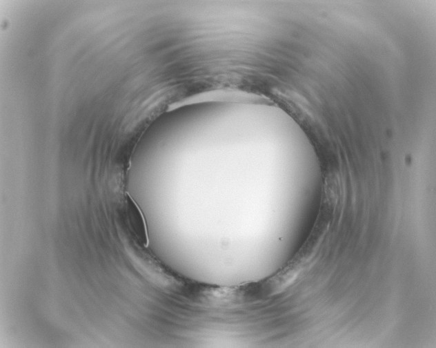 X0000088170092200706051127