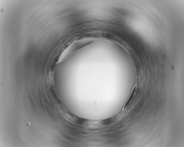 X0000088170093200706051127