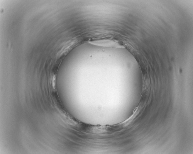 X0000088170094200706051127