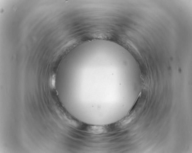 X0000088170095200706051127