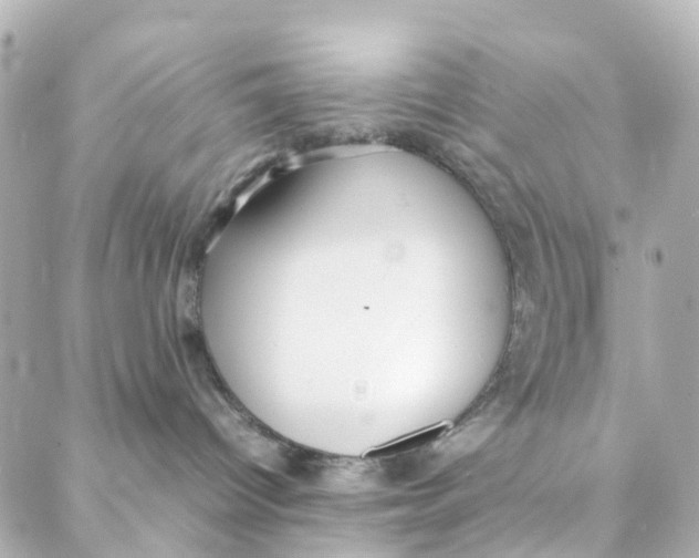 X0000088170096200706051127