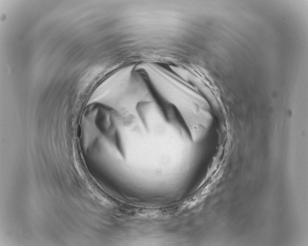 X0000088170097200706051127