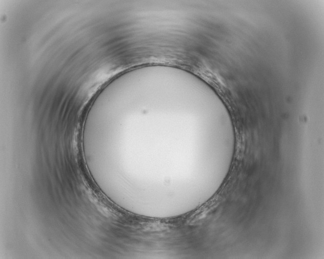 X0000088170098200706051126