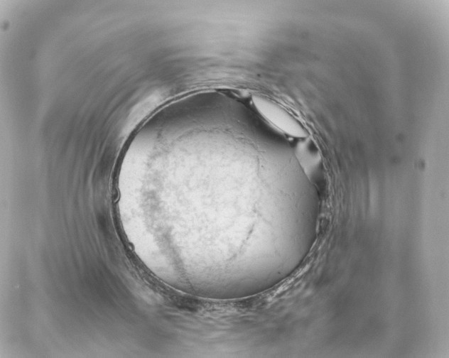 X0000088170099200706051126