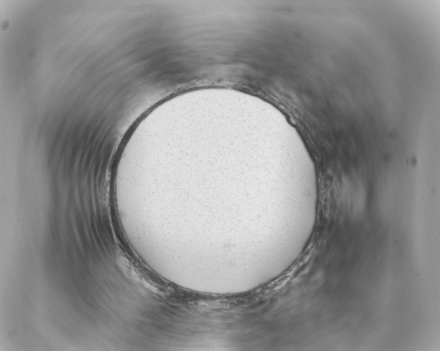 X0000088170100200706051126